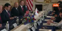 Premier Giappone dona a Trump 250 ciliegi e fuochi d'artificio per anniversario fondazione Usa