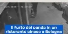 Il furto del panda in un ristorante cinese a Bologna: il video