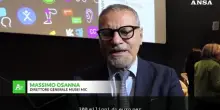 Maxxi, Osanna: "Accessibilita' nuova frontiera politiche museali"