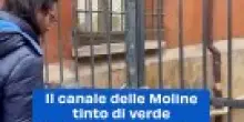 Il canale delle Moline tinto di verde da Extintion Rebellion a Bologna. Il video