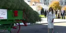 Melania Trump riceve l'albero di Natale alla Casa Bianca