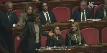 Violenza donne, si arena pdl consenso in Senato, maggioranza frena