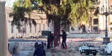 Innalzato l'albero di Natale a piazza S. Pietro: e' alto 27 metri