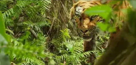 Dietro le quinte digitali di Sandokan, effetti speciali Made in Italy