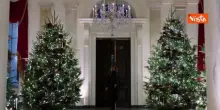 Natale alla Casa Bianca, ecco le decorazioni scelte da Melania Trump