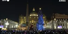 Piazza San Pietro, inaugurati l'albero di Natale e il presepe