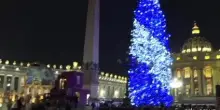 Inaugurato l'albero di Natale e il presepe in Piazza San Pietro