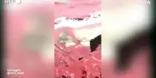 La "pioggia di sangue" tinge la spiaggia dell'isola iraniana di Hormoz