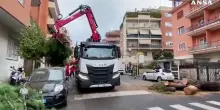 Cade un grosso albero in strada a Roma, colpito un autobus