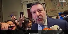 Salvini: "Ice? Ci saranno due tecnici civili"