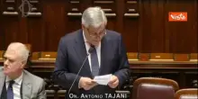 Board of Peace, Tajani: "Non &egrave; comitato d'affari, non scodinzoliamo attorno a Tony Blair"