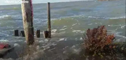 Le valli di Comacchio sommerse dall'acqua, il video