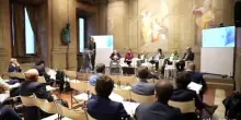 Un'agenda per i rari: priorit&agrave;, azioni, futuro