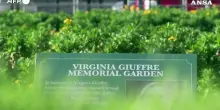 Attivisti dedicano a Virginia Giuffre i giardini davanti a Buckingham Palace