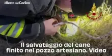 Il salvataggio del cane finito nel pozzo artesiano. Video
