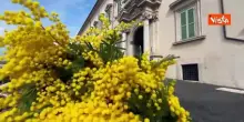 Ecco l'ingresso del Quirinale addobbato con le mimose per la Festa della Donna