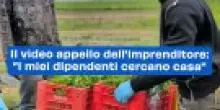 Il video appello dell'imprenditore: "I miei dipendenti cercano casa"
