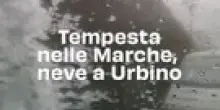 Tempesta nelle Marche, neve a Urbino