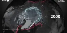 La mappa animata del Polo Nord con lo scioglimento dei ghiacci marini artici