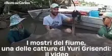 I mostri del fiume, una delle catture di Yuri Grisendi: il video