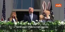 Trump e Melania partecipano all'Easter Egg Roll a Casa Bianca: Usa non sono mai andati meglio