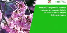 ANSA VERIFIED - Piu' megapixel su una fotocamera significano sempre foto migliori?