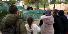Libia, dopo 17 anni riapre lo zoo di Tripoli
