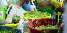 Maxi guacamole per sfidare il Guinness World Record a Tancitaro, in Messico