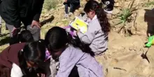 Niente scuola e lacrimogeni contro bambini palestinesi in Cisgiordania