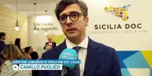 Vinitaly, Sicilia Doc: vogliamo avvicinare il vino ai giovani