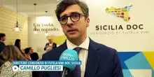Vinitaly, Sicilia Doc: consumatore al centro, parliamo ai giovani