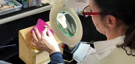 I gioielli in micromosaico di SICIS, una tecnica antica nel presente