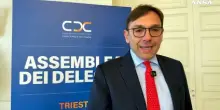 Cassa Dottori Commercialisti, Graziani: "Un avanzo record"