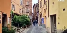 A Perugia uno spazio dedicato ai necrologi degli animali
