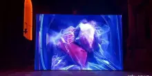 Un mondo di eccessi raccontato in otto nuove potenti opere video