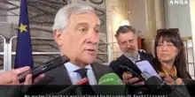 Tajani, nasce a Roma coalizione per sicurezza alimentare e fertilizzanti