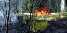 Grosso incendio a Chernobyl dopo schianto drone, radiazioni nei limiti