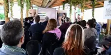 Pet Safety Days by Tavo: sicurezza in auto per gli animali