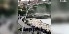 Napoli, l'arrivo di papa Leone in elicottero