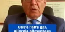 Cos&rsquo;&egrave; l&rsquo;alfa gal, allergia alimentare trasmessa dalle zecche