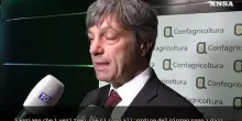 Zoppas: "Dobbiamo stare vicini agli Stati Uniti, sono un mercato di riferimento"