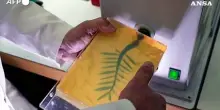 Cannes, dietro le quinte della realizzazione della Palma d'Oro