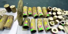 Vendevano zanne di elefante su Facebook, 9 arresti in Thailandia