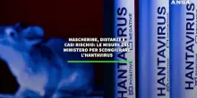 Mascherine, distanze e casi rischio: le misure del  ministero per scongiurare l'hantavirus