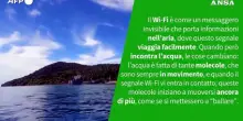 Ansa VERIFIED - E' vero che il Wi-Fi funziona sott'acqua?