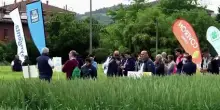 Cai: "Campagna cereali tra luci e ombre, preoccupa la crisi dei fertilizzanti"