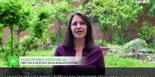 Roma Borgata Festival, Muschella: "La cultura torna al centro delle periferie"