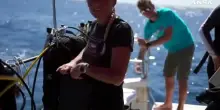 Tragedia alle Maldive, Greenpeace ricorda Montefalcone in un video