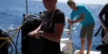 Italiani morti alle Maldive, Greenpeace ricorda Monica Montefalcone