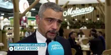 La pasta Molisana cresce nel premium e prepara il debutto nei sughi